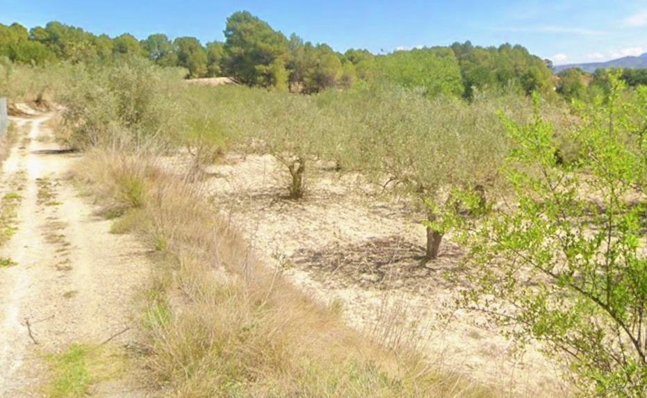 Terrain dans Ontinyent, Valencia à vendre - Plan de site – Image 2 sur 2
