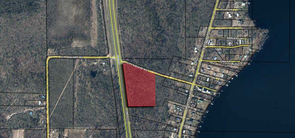 Hwy 231 & City Square Rd, Alford, FL à vendre - Autre – Image 2 sur 2