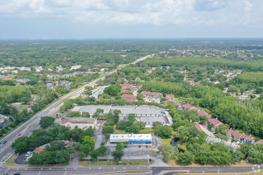 12041-12059 Anderson Rd, Tampa, FL à louer - Aérien – Image 3 sur 10