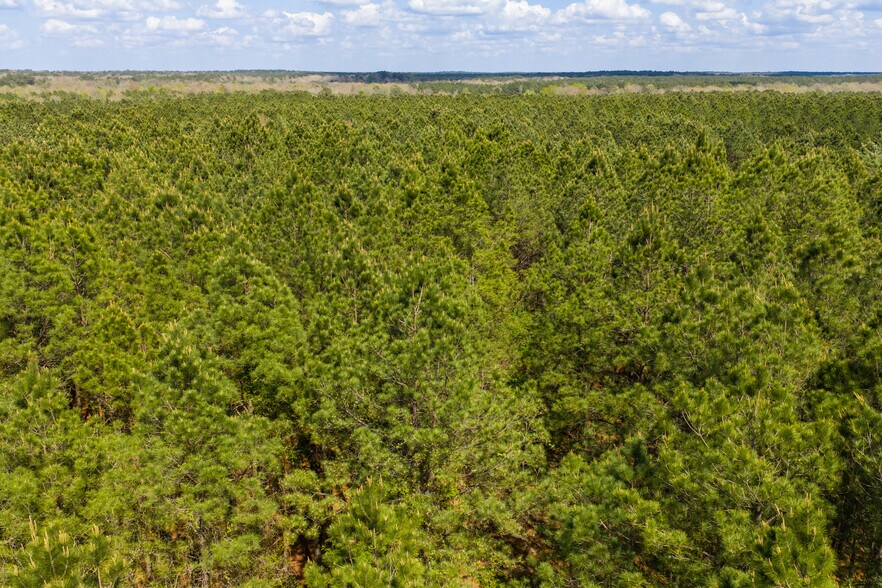 US 63, Junction City, LA à vendre - Photo de l’immeuble – Image 3 sur 16