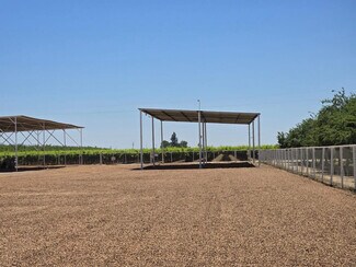 Plus de détails pour 28548 Woollomes Rd, Wasco, CA - Terrain à vendre