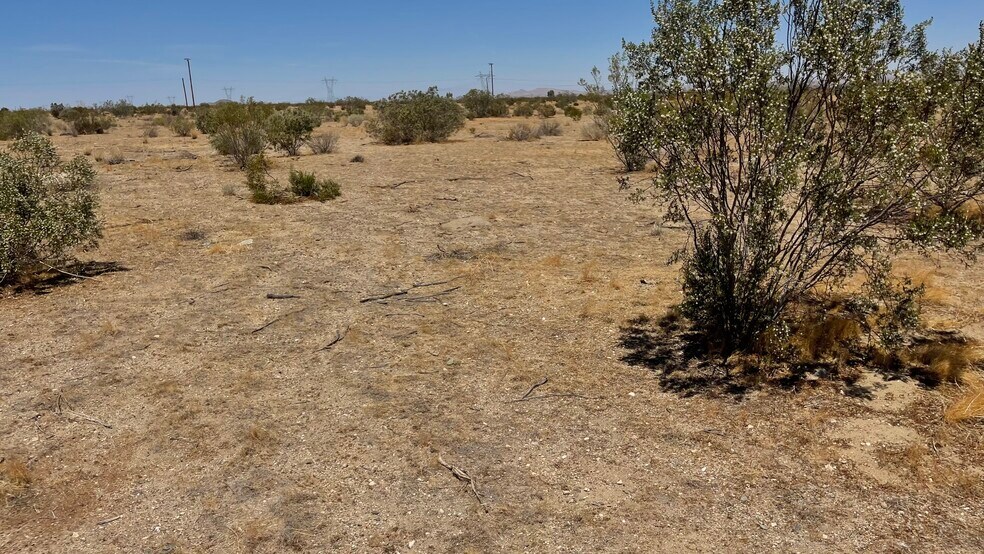 Sheep creek Road, Adelanto, CA à vendre - Photo de l’immeuble – Image 2 sur 8