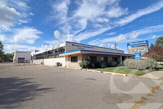 Plus de détails pour 23501 Mound Rd, Warren, MI - Industriel/Logistique à louer