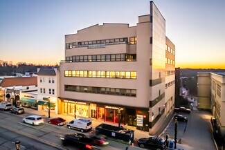 Plus de détails pour 731-733 Washington Rd, Pittsburgh, PA - Bureau, Bureau/Médical à louer