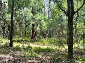 Plus de détails pour 3575 South St, Titusville, FL - Terrain à vendre