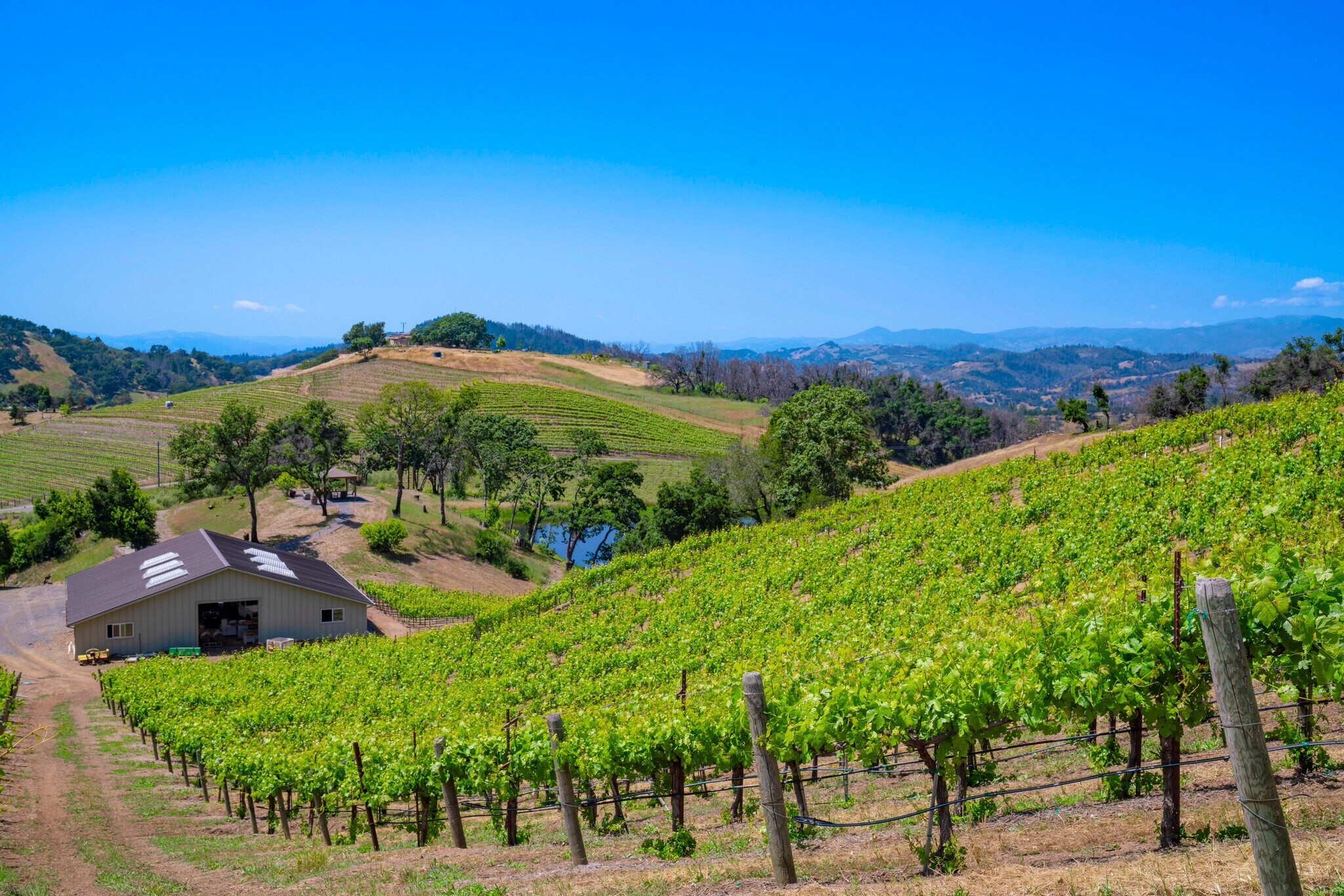 6923 Plum Ranch Rd, Santa Rosa, CA à vendre Photo de l’immeuble– Image 1 sur 7