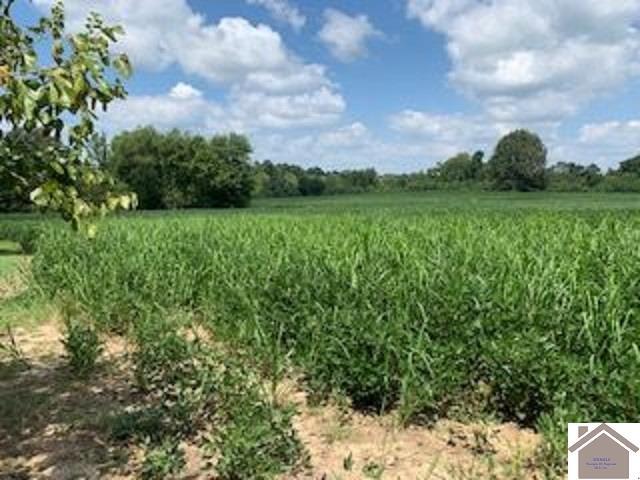 8605 Highway 60, West Paducah, KY à vendre - Photo de l’immeuble – Image 3 sur 5