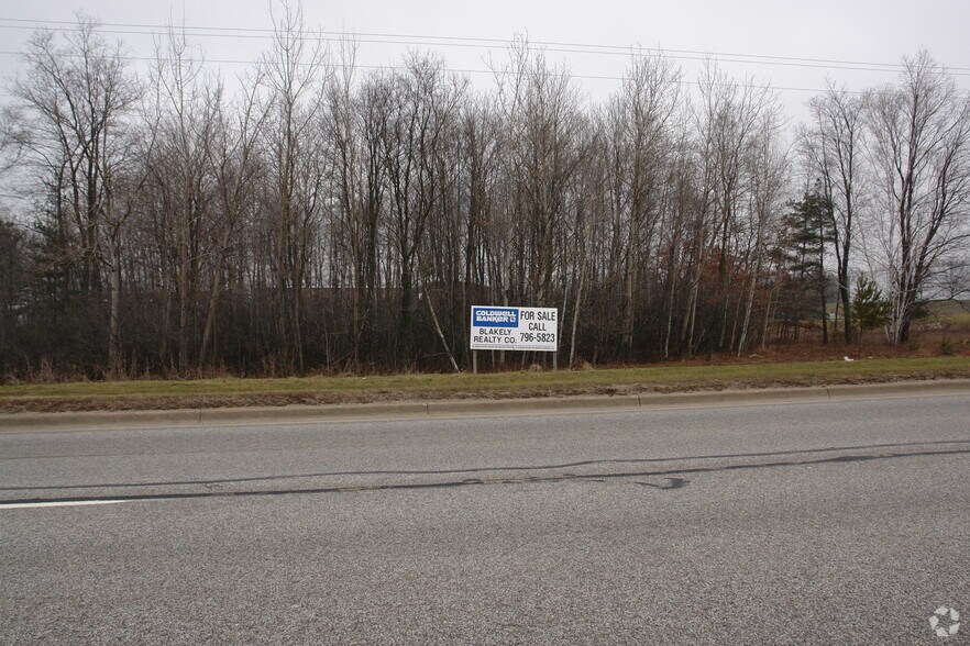 Perry Ave, Big Rapids, MI à vendre - Photo principale – Image 1 sur 9