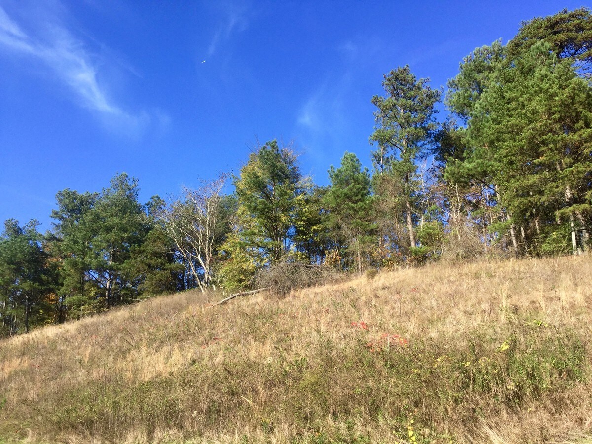 View Photo
