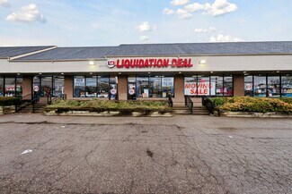 Plus de détails pour 1071-1119 Fort St, Lincoln Park, MI - Local commercial à louer
