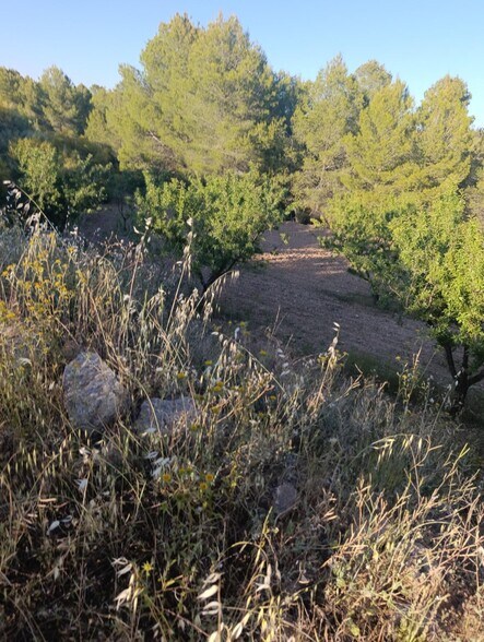 Terrain dans Cehegín à vendre - Photo de l’immeuble – Image 3 sur 10