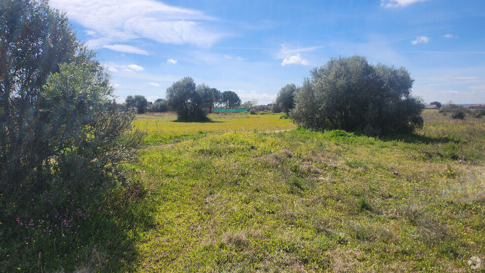 Terrain dans Hormigos, Toledo à vendre - Photo de l’immeuble – Image 3 sur 21