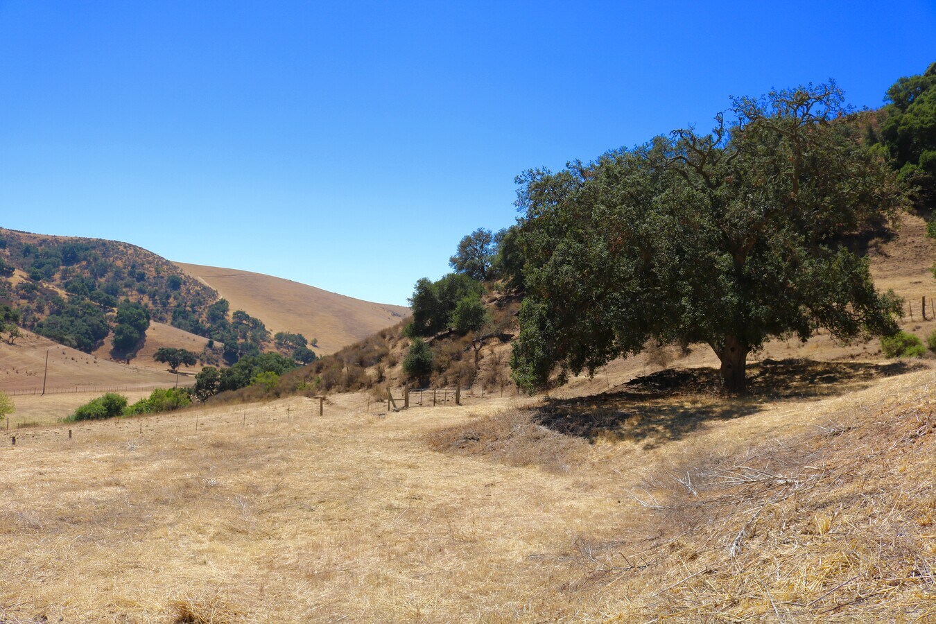 View Photo