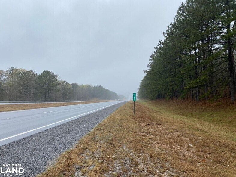 0 Highway 280, Dadeville, AL à vendre - Autre – Image 3 sur 18