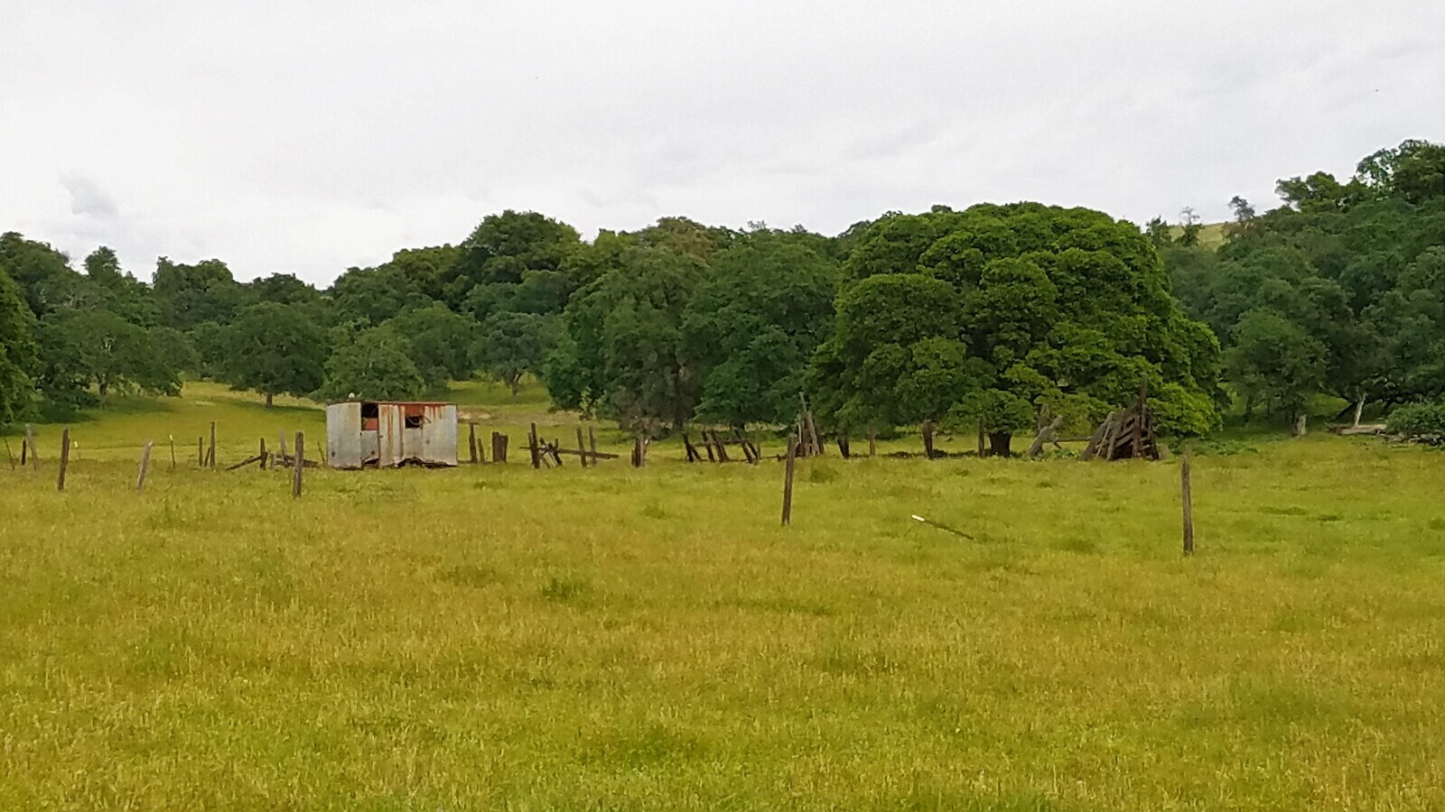 Photo de l’immeuble