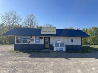 Plus de détails pour 3497 E Sanilac Rd, Caro, MI - Local commercial à vendre
