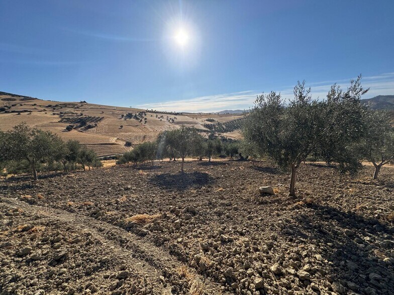 Terrain dans Casabermeja, Málaga à vendre - Aérien – Image 3 sur 13