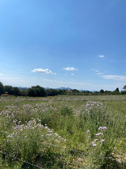 Terrain dans Manacor, Islas Baleares à vendre - Aérien – Image 2 sur 7