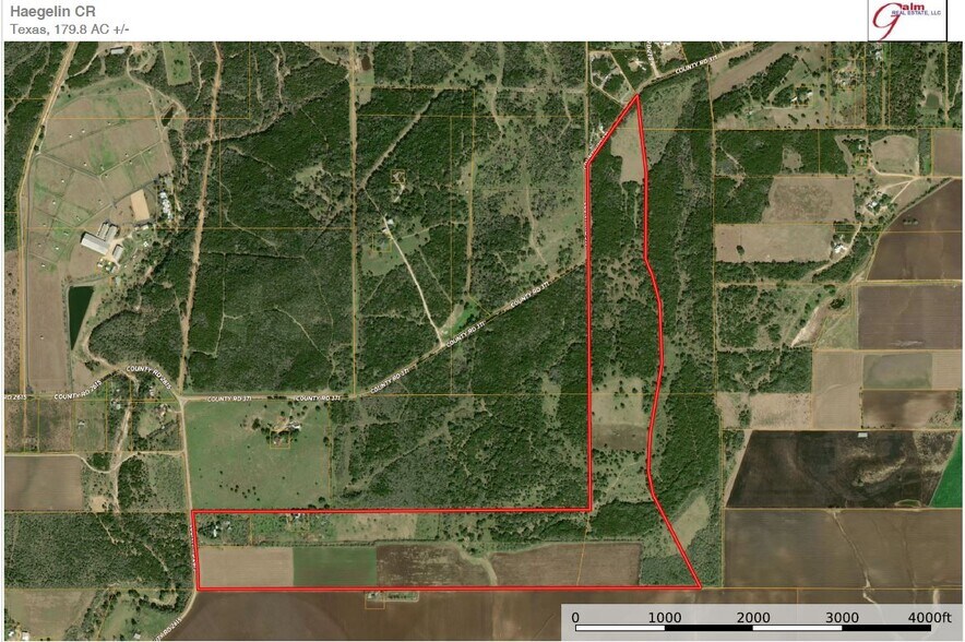 1151 County Road 2615, Rio Medina, TX à vendre - Photo de l’immeuble – Image 1 sur 33