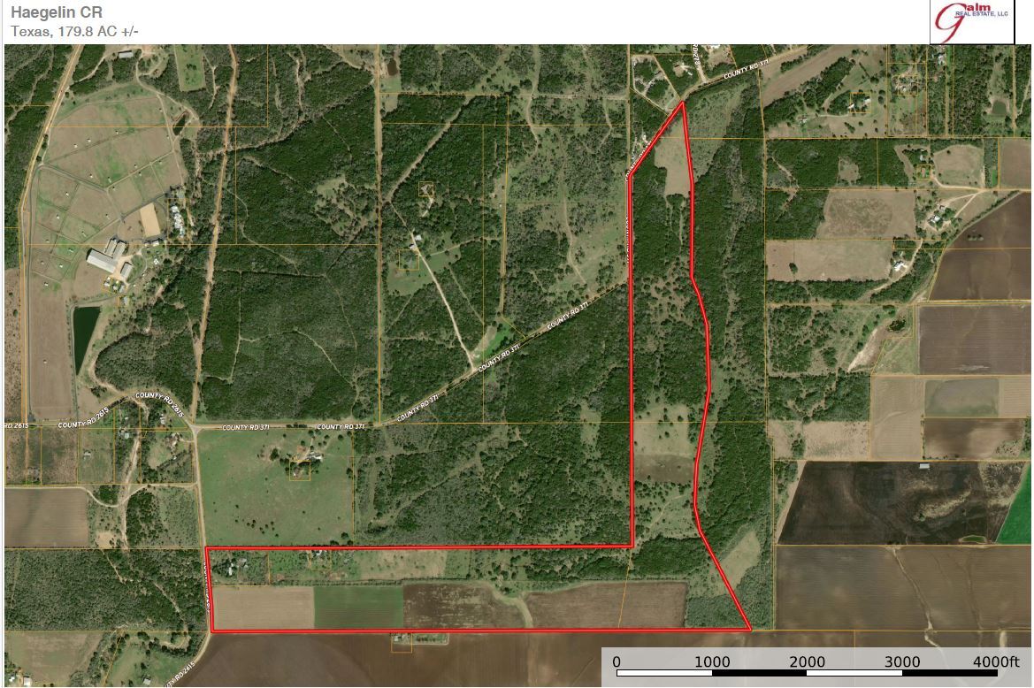 1151 County Road 2615, Rio Medina, TX à vendre Photo de l’immeuble– Image 1 sur 34