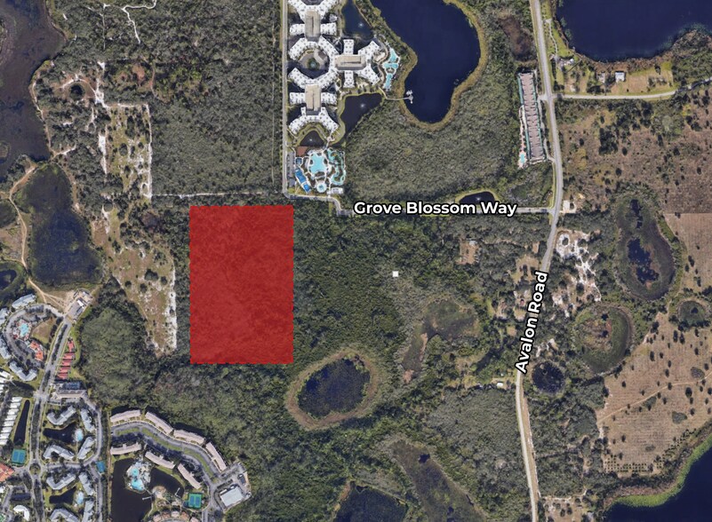 17998 Grove Blossom way, Winter Garden, FL à vendre - Photo principale – Image 1 sur 2