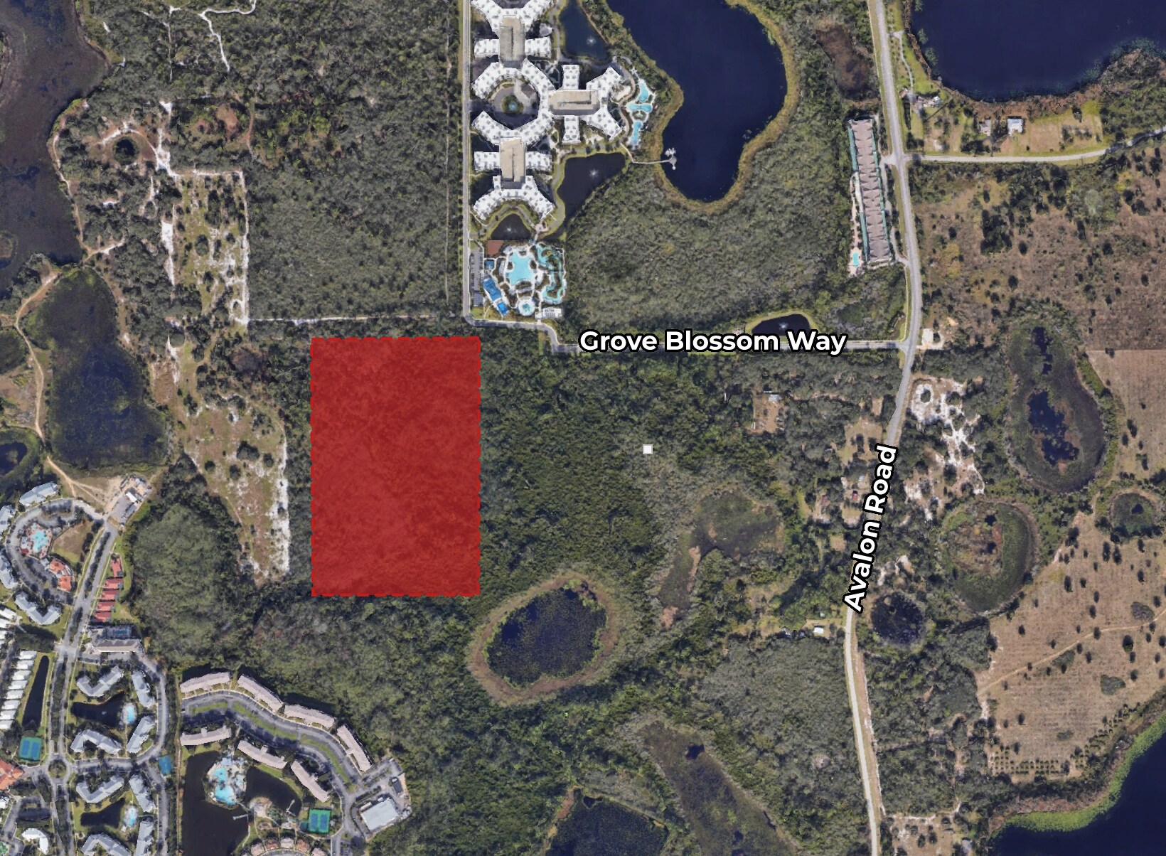 17998 Grove Blossom way, Winter Garden, FL à vendre Photo principale– Image 1 sur 3