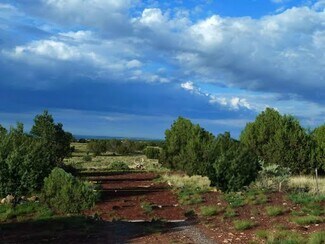 Plus de détails pour 656 S Avondale Rd, Williams, AZ - Terrain à vendre