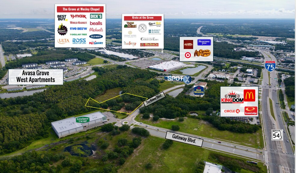 27561 Dayflower Boulevard, Wesley Chapel, FL à vendre - Photo de l’immeuble – Image 3 sur 8