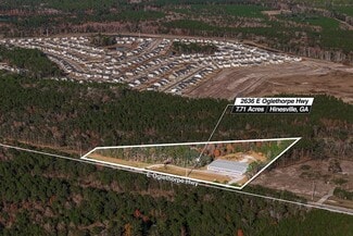 Plus de détails pour 2636 E Oglethorpe Hwy, Hinesville, GA - Bureau/Local commercial à louer