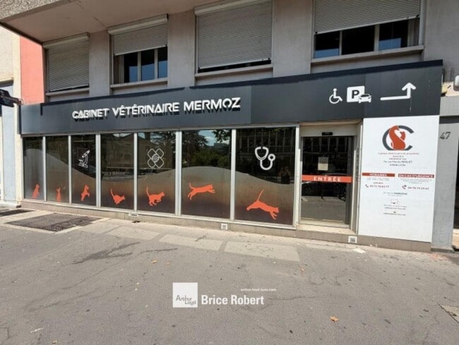 Plus de détails pour 47 Avenue Jean Mermoz, Lyon - Local commercial à louer