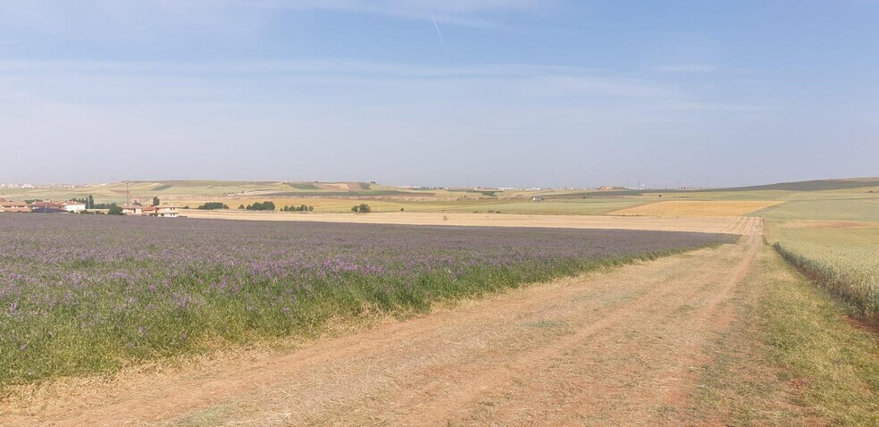 Terrain dans Cabrerizos, Salamanca à louer - Photo principale – Image 2 sur 12
