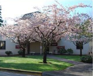 402 Black Hills Ln SW, Olympia, WA à vendre - Photo de l’immeuble – Image 3 sur 11