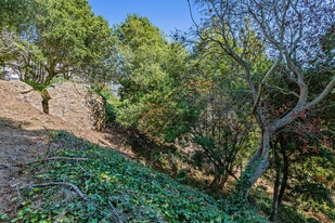 Plus de détails pour 614 Cragmont Ave, Berkeley, CA - Terrain à vendre