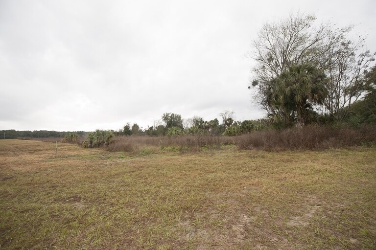 13101 Rachael Blvd, Alachua, FL à louer - Photo principale – Image 3 sur 3