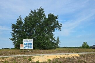Plus de détails pour 1 Hwy 27, Davenport, FL - Terrain à vendre