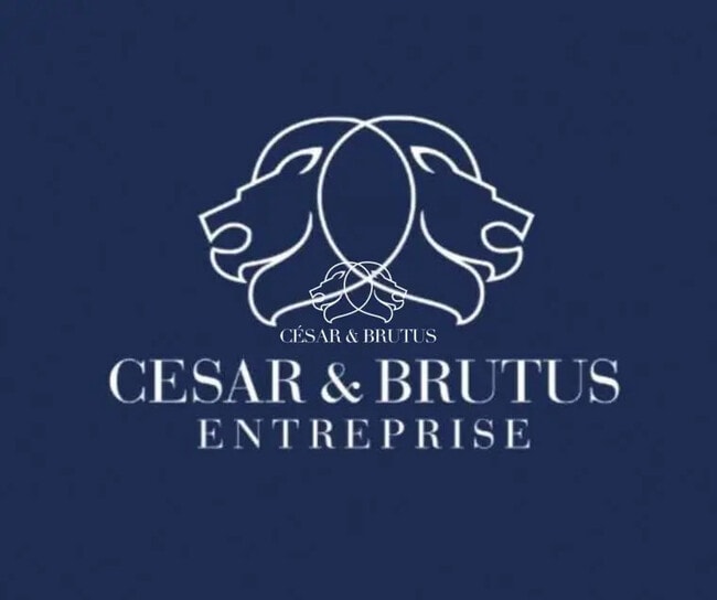 Plus de détails pour Local commercial à vendre