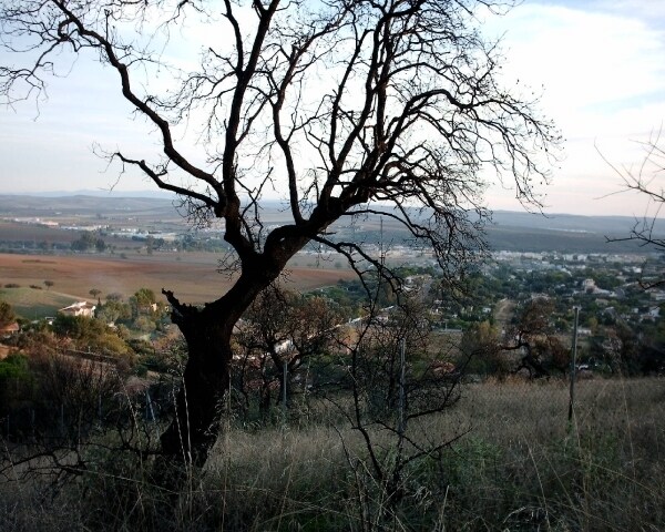 Terrain dans Córdoba, Córdoba à vendre - Photo principale – Image 3 sur 3