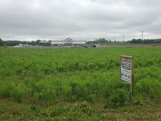 Plus de détails pour 8287 Lewiston rd, Batavia, NY - Terrain à vendre