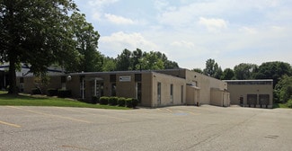 Plus de détails pour 16855 Park Circle Dr, Bainbridge Village, OH - Industriel/Logistique à louer