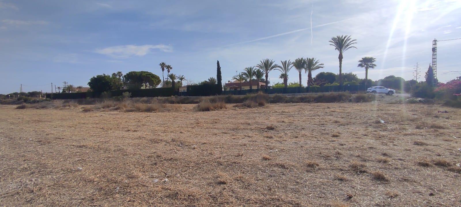 Valverde, Elche Pedanias, 121, Alicante, Alicante à vendre Aérien– Image 1 sur 6