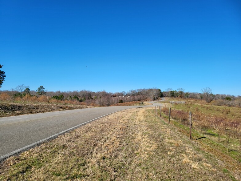 County RD 465, Killen, AL à vendre - Photo de l’immeuble – Image 2 sur 23