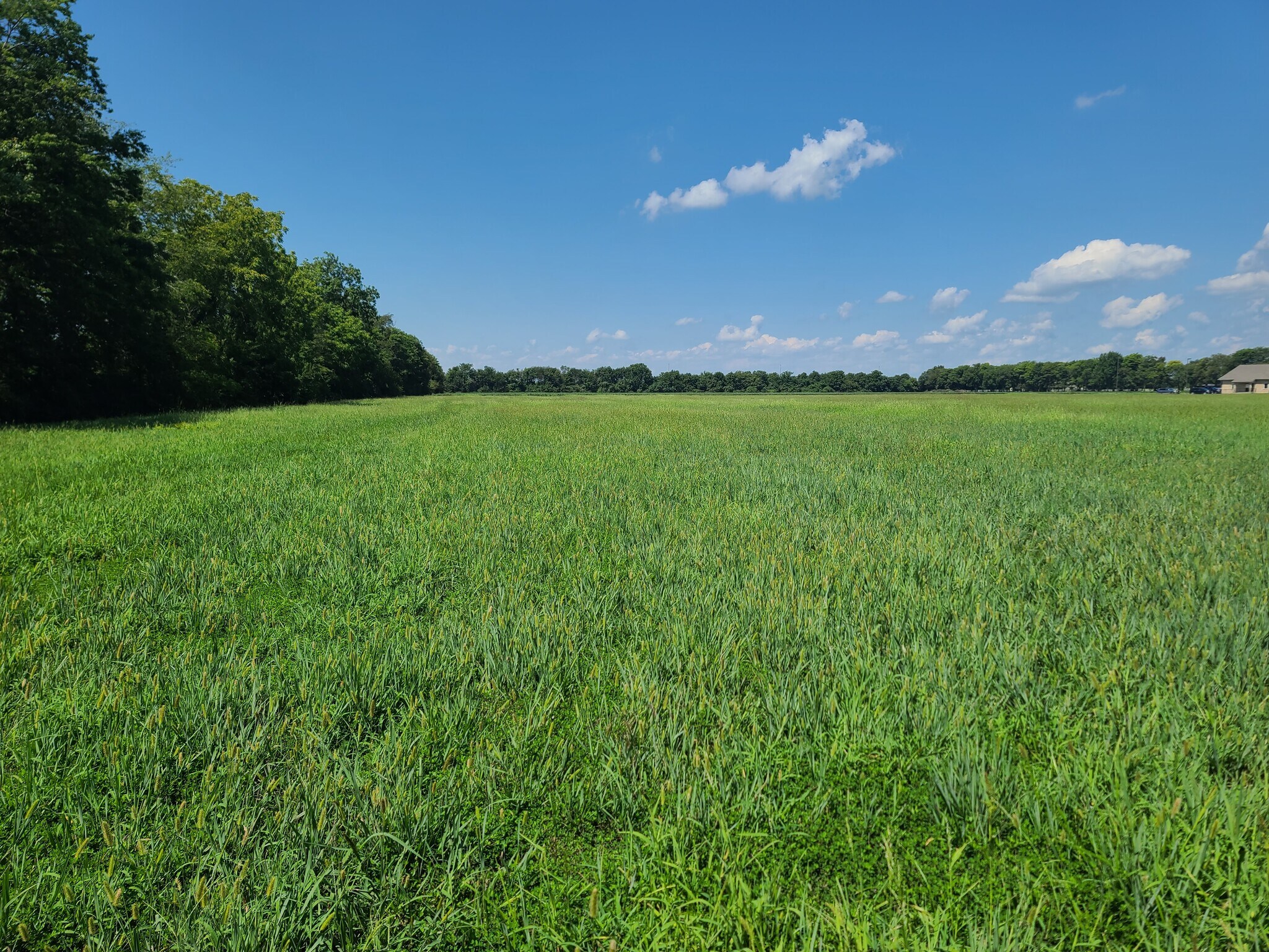 103 Grove Estates Ct, Sikeston, MO à vendre Photo principale– Image 1 sur 2