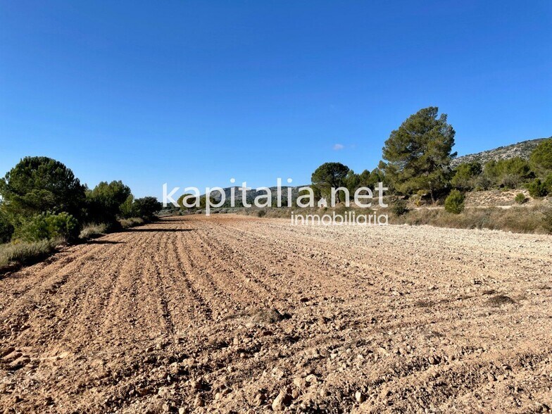 Terrain dans Bocairent, Valencia à vendre - Plan de site – Image 3 sur 5
