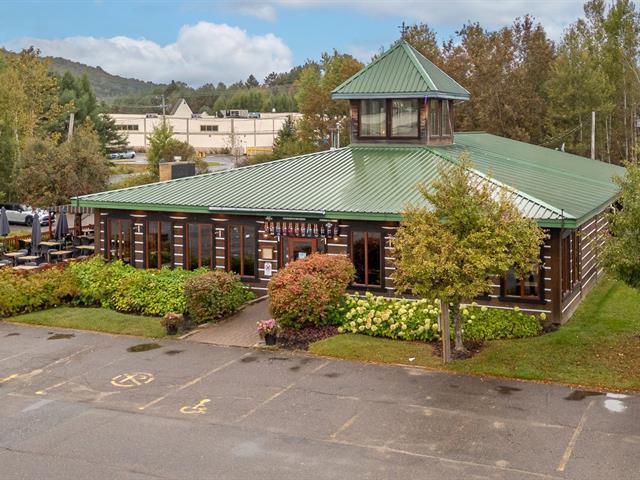 435 Rue Des Pionniers, Mont-tremblant, QC à vendre Photo principale– Image 1 sur 4