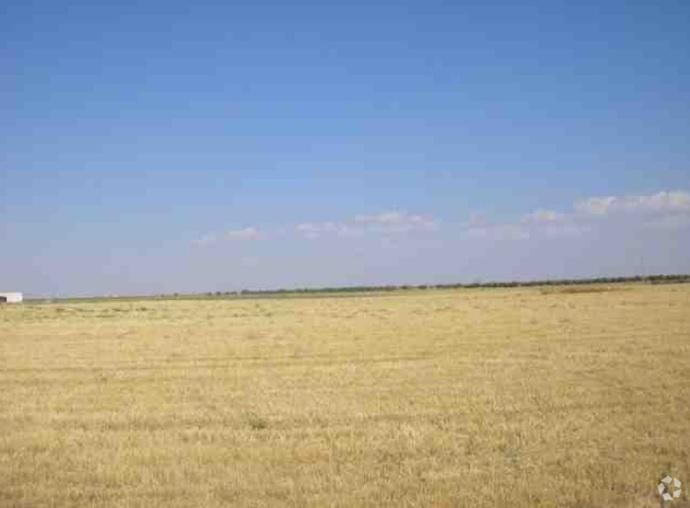 Terrain dans Ciruelos, Toledo à vendre Photo principale– Image 1 sur 2