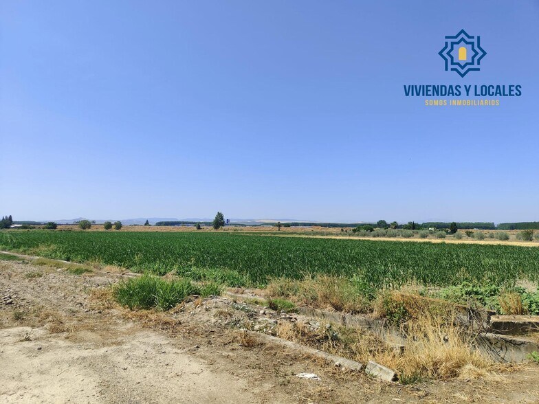 Carretera de Pinos Puente, Atarfe, Granada à vendre - Photo de l’immeuble – Image 2 sur 9