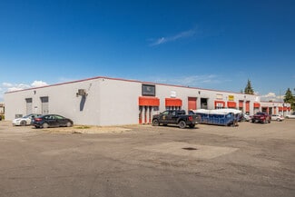 Plus de détails pour 2413 Stevenage Dr, Ottawa, ON - Local d'activités, Industriel/Logistique à louer