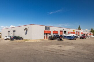 Plus de détails pour 2413 Stevenage Dr, Ottawa, ON - Local d'activités, Industriel/Logistique à louer