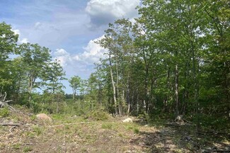 Plus de détails pour W of 327 US 41 E hwy, Negaunee, MI - Terrain à vendre