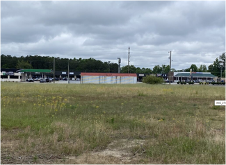 Plus de détails pour 2044 Wilson Rd, Newberry, SC - Terrain à vendre